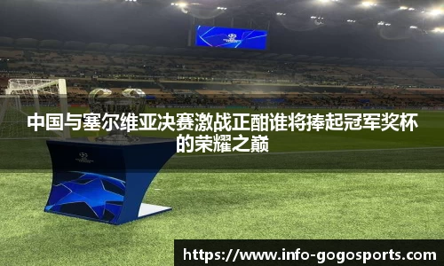 中国与塞尔维亚决赛激战正酣谁将捧起冠军奖杯的荣耀之巅